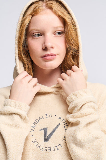 4128 - Buzo Hoodie Vandalia