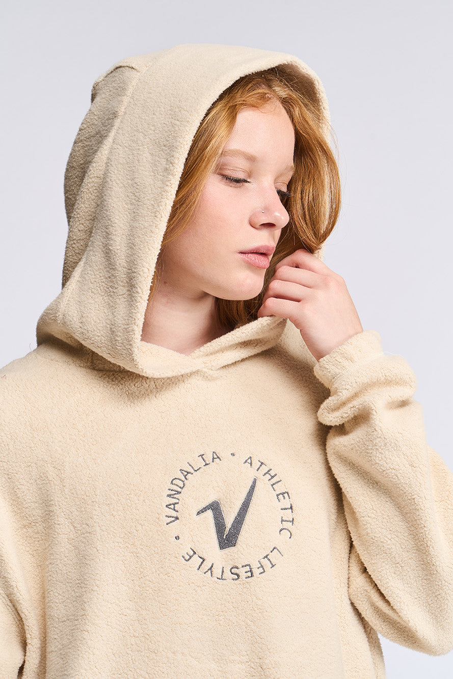4128 - Buzo Hoodie Vandalia