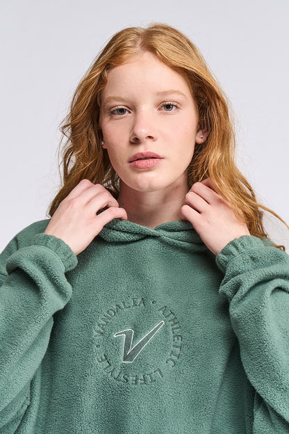 4128 - Buzo Hoodie Vandalia